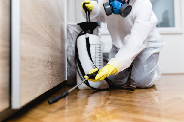 Best Exterminator Services  in Ada, OK