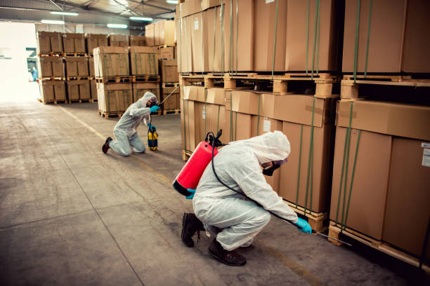 Best Mosquito Control Services  in Ada, OK