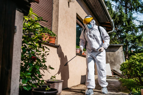 Best Pest Control Near Me  in Ada, OK