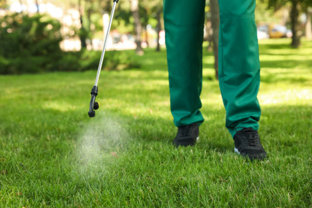 Best Best Pest Control Companies  in Ada, OK