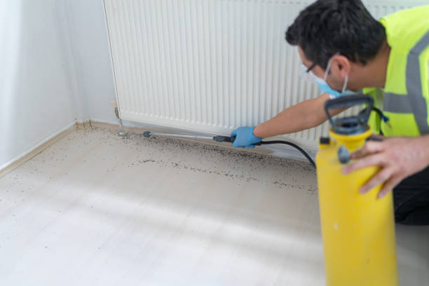 Best Affordable Pest Control Services  in Ada, OK